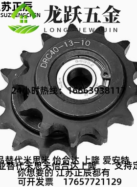 DRC50/60/80-/101/12/131/14/15/17/-12/15/17/20惰轮9链轮DRCW