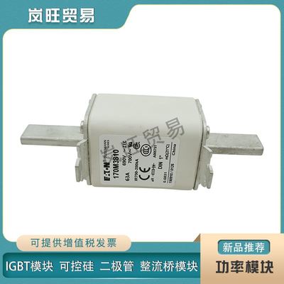 巴斯曼快速熔断器保险丝170M3773 3808 3809 3810 3811 3812 3813