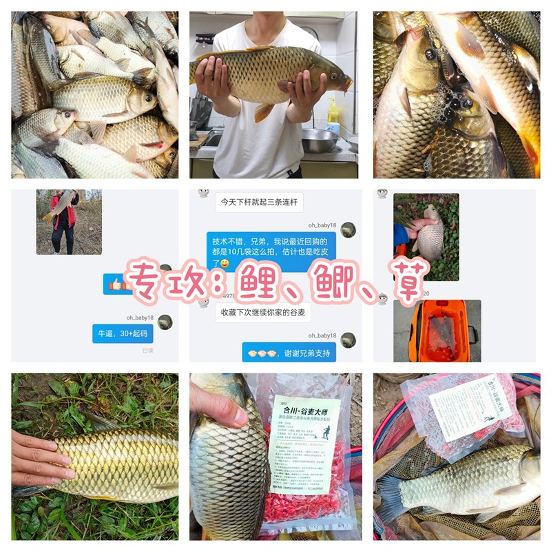 现货合川谷麦钓法饵料秘制春夏野钓打窝玉米五谷杂粮麦粒鲫鱼鲤鱼