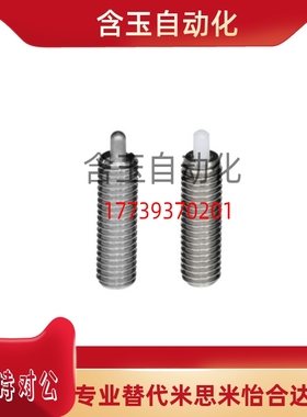 ZAY12 ZAY11-M10/M12/M16/M20分度销 ZAY13嵌入式精密自锁型ZAY14