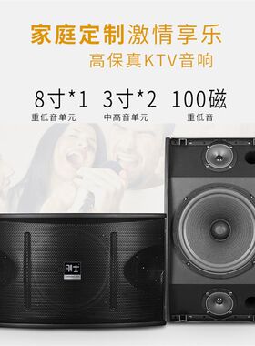卡包音箱10寸家庭KTV家用卡拉GOK包房会议重低音音响工厂