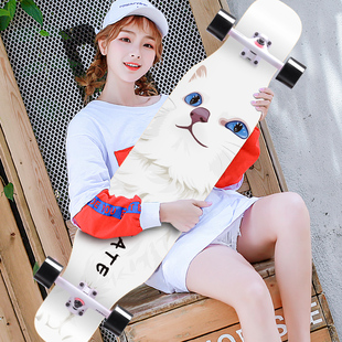 滑板长板专业版初学者女男生成z人青少年公路舞板女刷街四轮滑板