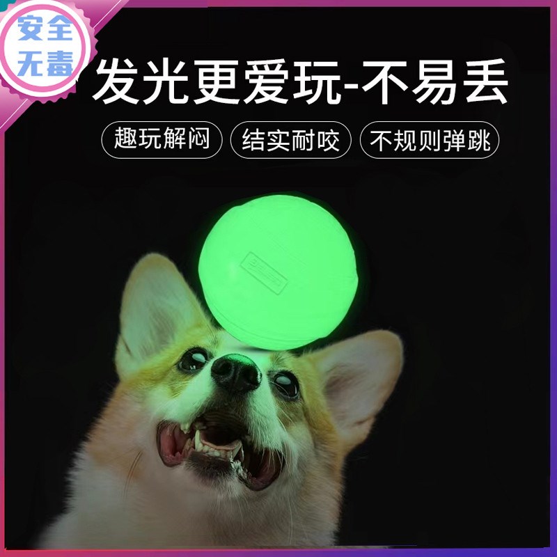 狗狗玩具球弹力耐咬磨牙训犬球夜光发光互动解闷浮水橡胶宠物新品