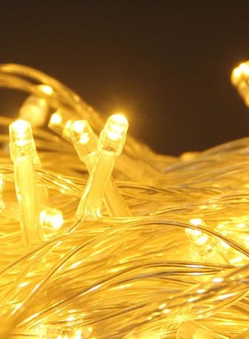 220V LED Fairy Light Christmas Outdoor String Lights Garland