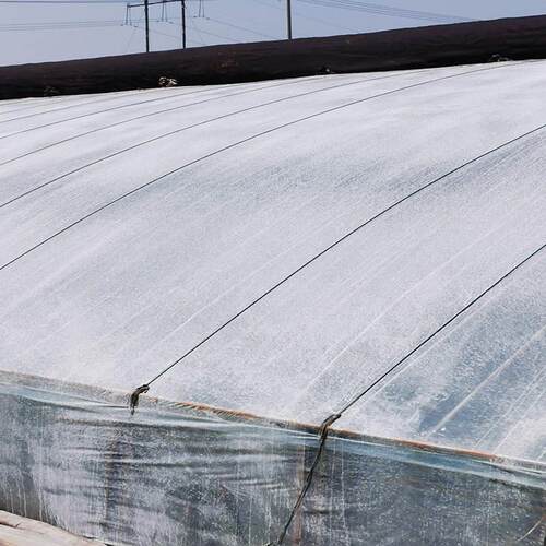 现货立凉大棚降温剂温室大棚防晒剂遮阳涂料厂家S直销耐雨水冲刷