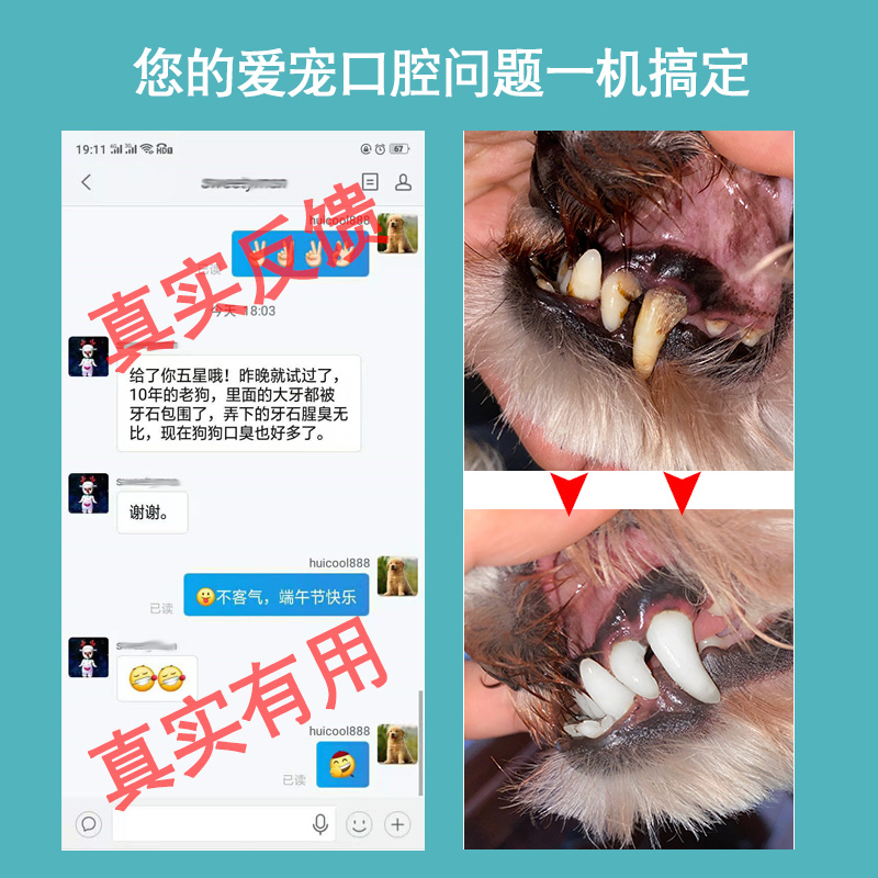 狗狗牙结石去除器宠物超声波洗牙器猫咪牙齿清洁神器洁牙仪机工具