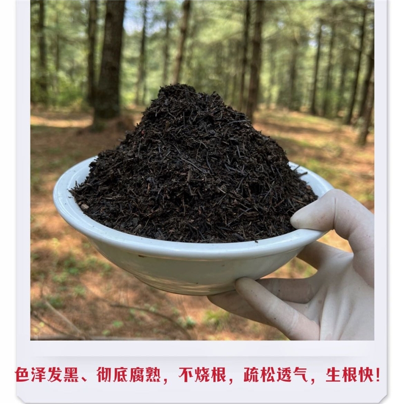 急速发货主播自用云南深山腐叶土腐殖土