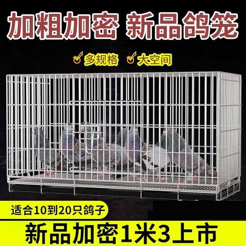 加粗鸽子笼鸽子用品用具鸽子配对笼养殖笼子金属折叠大号