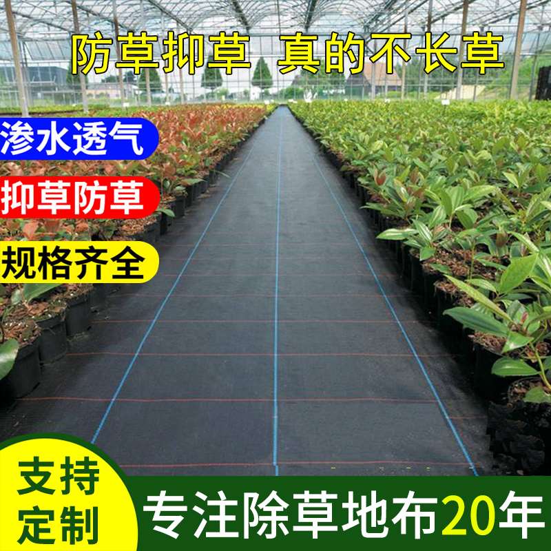 防草布除草地膜农用园艺抗老化地布果园果树透水R遮草布盖草大棚