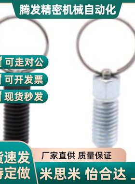 怡合达标准 分度销 拉环型 ZAC40/ZAC41/ZAC42-M6 M8 M10 M12