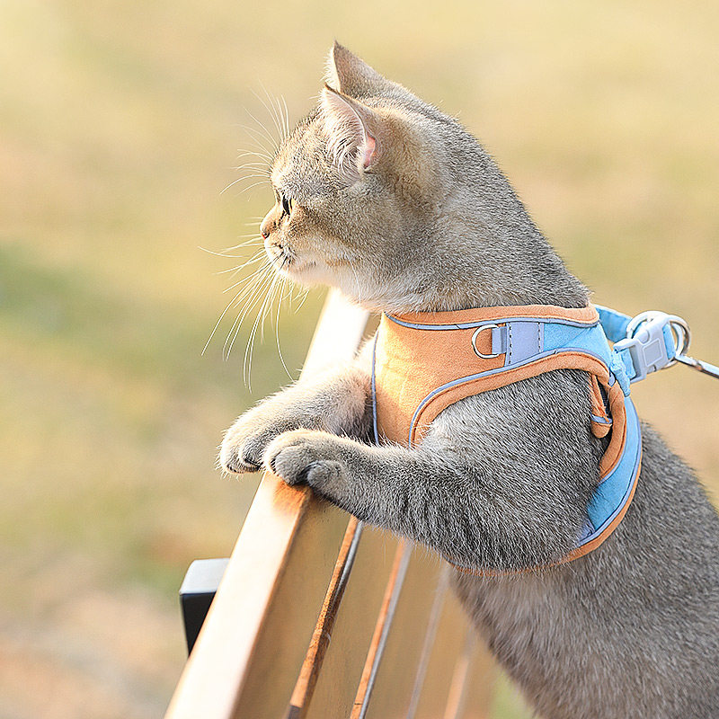 现货猫咪牵引绳家用背心式胸背带可爱防挣脱遛R猫绳狗狗溜猫链宠