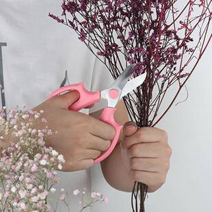 Shears Scisso Professional Scissors Floral Garden Flower 推荐