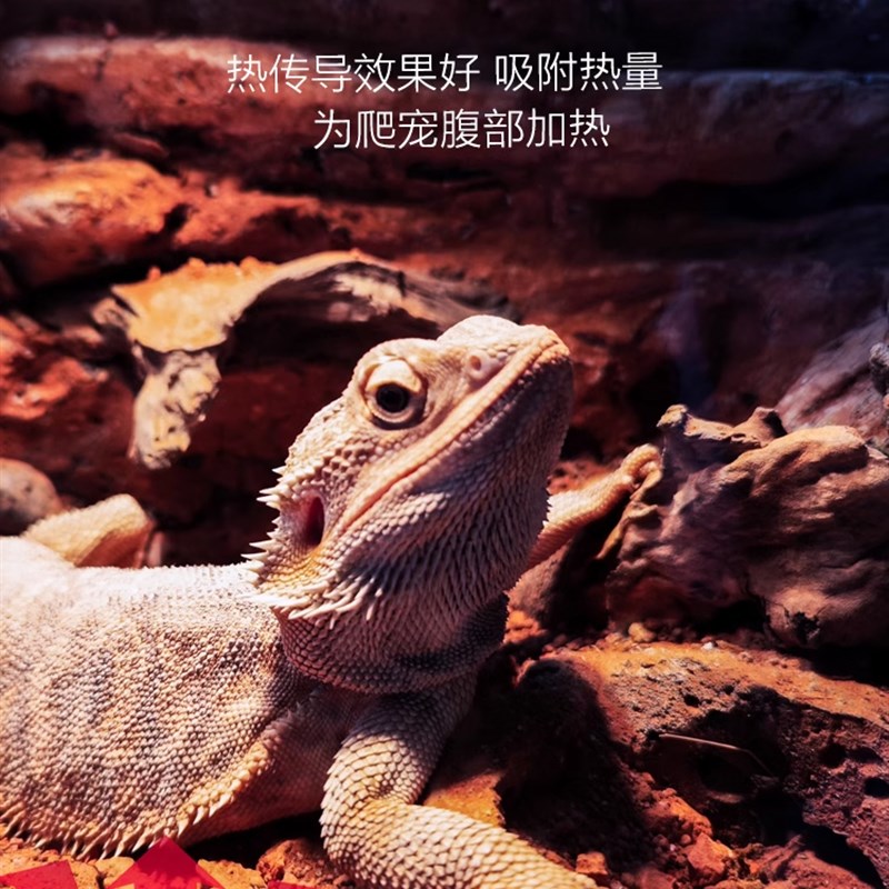 荒漠地表垫材爬宠沙鬃狮蜥蜥蜴瘤尾豹纹守宫陆龟沙漠造景黏土洞穴