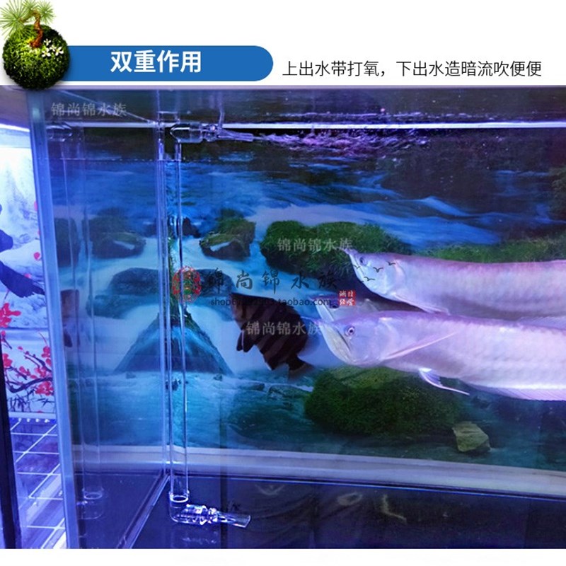 鱼缸鸭嘴出水口上下出水增氧鸭嘴万向透H明亚克力管件配件DIY改装