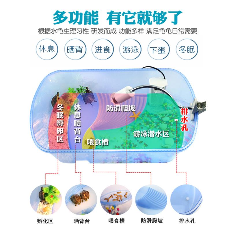 推荐乌龟缸送2只小乌龟巴西龟草龟鳄龟活物龟盆宠物盒儿童礼物