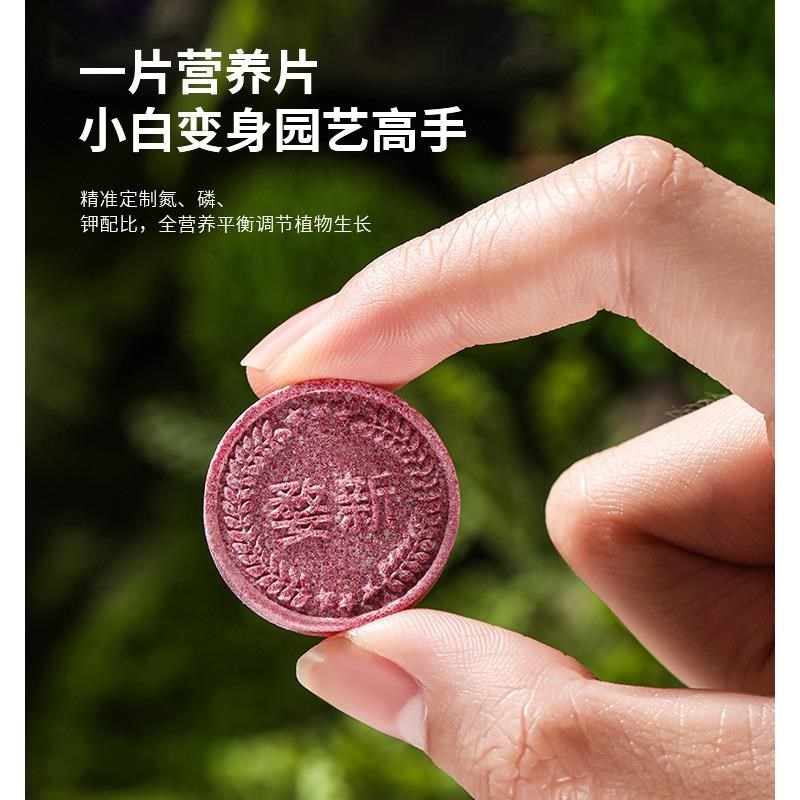 【植物缓释片】家里的植物枯黄、掉叶、烂根、不开花,赶紧用这个