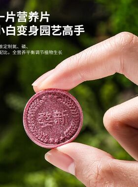 【植物缓释片】家里的植物枯黄、掉叶、烂根、不开花,赶紧用这个