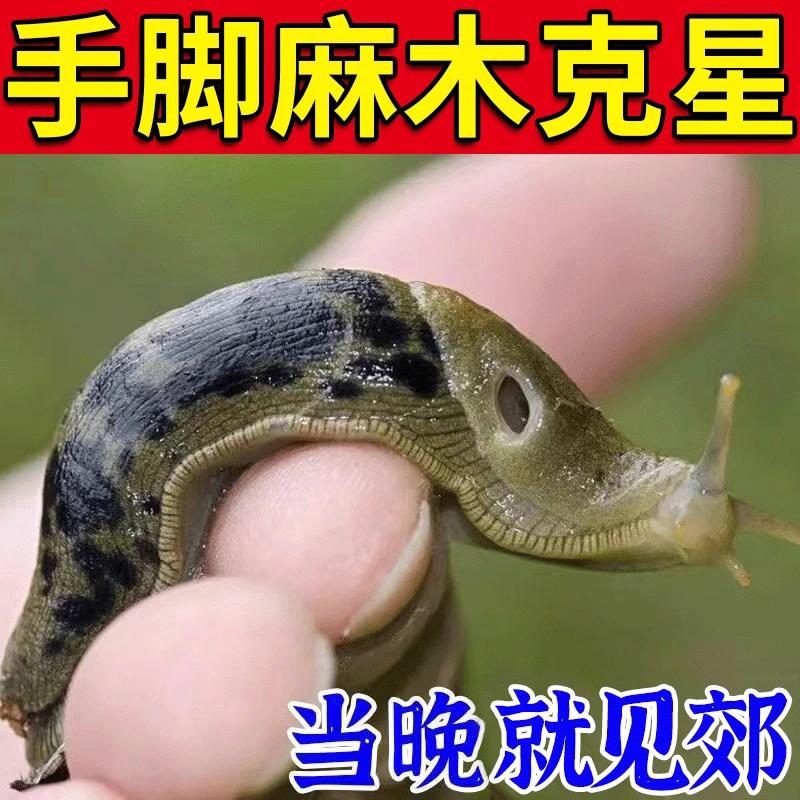工厂销四肢麻木贴手脚发麻手臂z酸胀脚趾腿麻抽筋颈椎压迫酸痛止