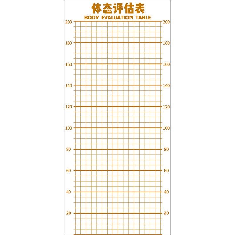 儿童体态身高评估表站姿体测网格背景墙纸幼小中青少年体测评估图