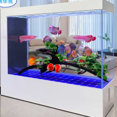 超白玻璃a屏风隔断办公室靠墙一键排水大型生态客厅落地家用鱼缸