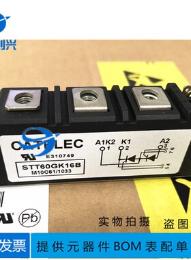 STT49GK16B STT60GK12B STT90GK16B STT116GK16B STT100GK16B咨询