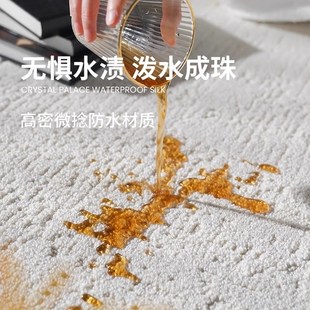新品 浮雕高级轻奢卧室床边毯沙Y发茶几毯纯 素色地毯客厅新款 法式