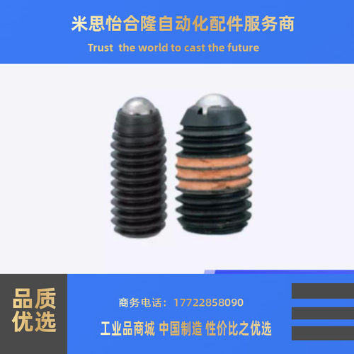 球头柱塞 BPY3/BPY4/BPY5/6/8/10/12/16弹弓销 BPY轻载型波珠螺丝