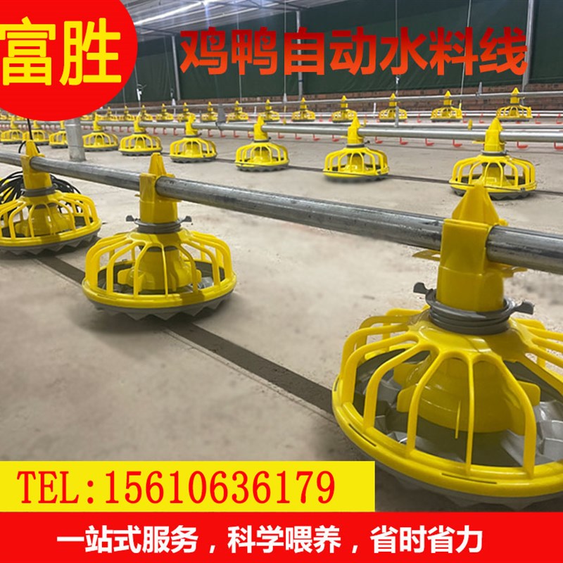 养鸡场自动喂料机饮水器养殖场专用水线料线全自动化上料机投料机