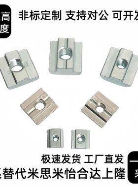 HNTT5铝型材HNTTV40/HNTTZ45螺母TNTB-HNTR20/HNTC30/M4 M5 M6 M8