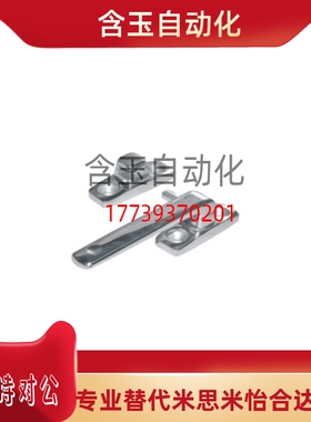 FHS31/FHS41-L80/L100 304替代恰和达不锈钢把手拔插型 把手锁