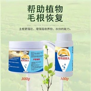 植物速救丸盆栽花卉通用型解决植物黄叶光杆果蔬绿植家庭