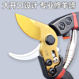 修羊蹄子剪刀羊用钳子兽用刮刀牛羊修蹄刀剪牛蹄修理专用工具