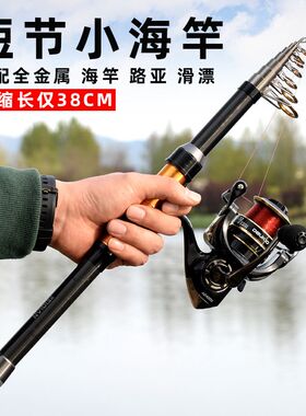 小海竿迷你超短节小矶竿碳素海杆抛竿甩杆伸缩路亚竿套装钢笔鱼竿