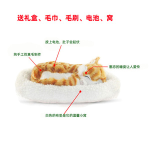 小偶咪玩偶布猫会呼吸r 猫公仔车载假件摆猫娃娃毛绒玩具