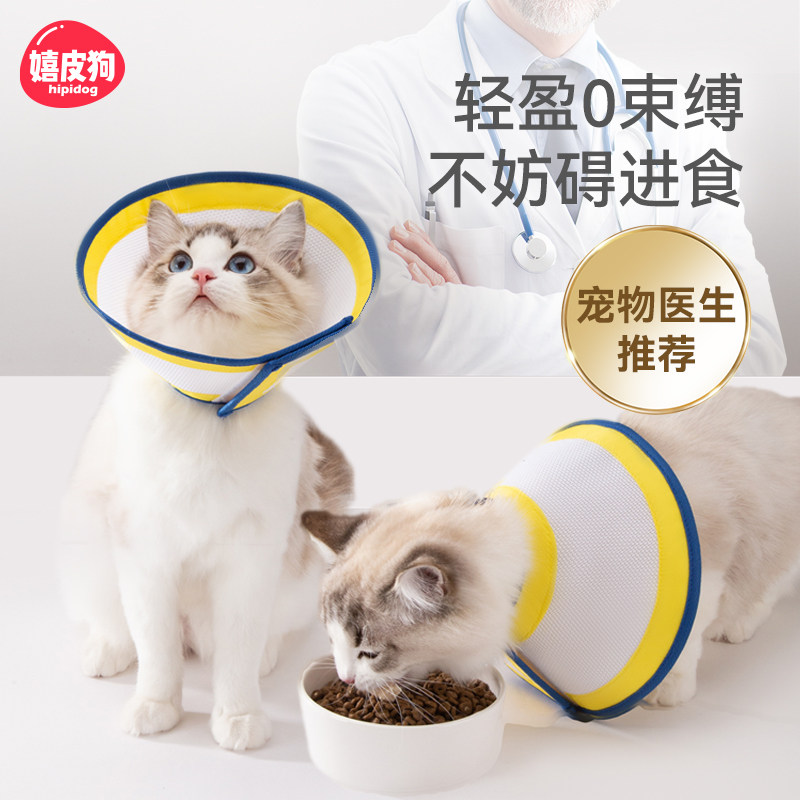 新品伊丽莎白圈猫绝育颈圈猫咪羞耻E圈防舔围脖伊丽沙白头套防咬