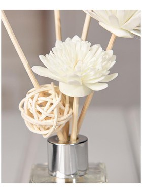 Aromeasy 50ml Reed Diffuser Set Fresh Air Bathroom Bedroom L