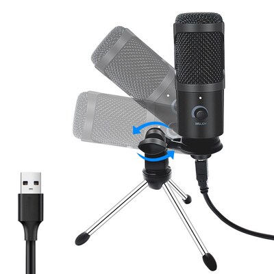 SB Microphone Condenser Recording Microphone with Stand and