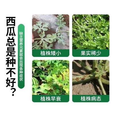 西瓜水溶肥料增甜增产膨大防裂生根壮苗桶装甜瓜冲施肥滴灌肥