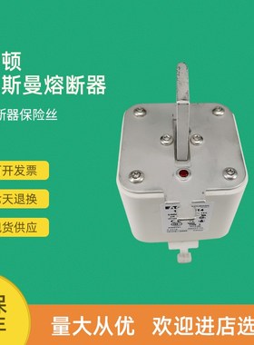 全新快速熔断器保险170M6910 170M6918 170M6919 170M6920
