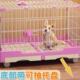 狗笼子小型犬中型大单层狗w狗宠物室内树脂家用塑料泰迪别墅带