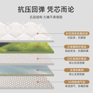 床垫软垫家用加厚租房记忆棉席梦思10cm硬垫子12米定做定制