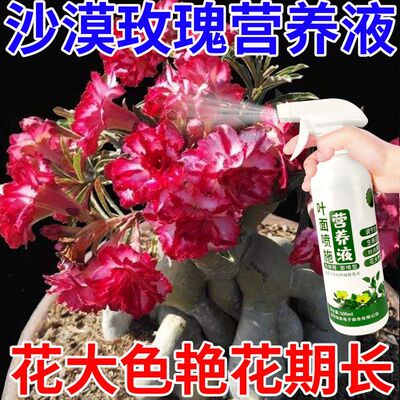 适合各种花的营养液o沙漠玫瑰营养液促长催花促花花期生根叶面喷