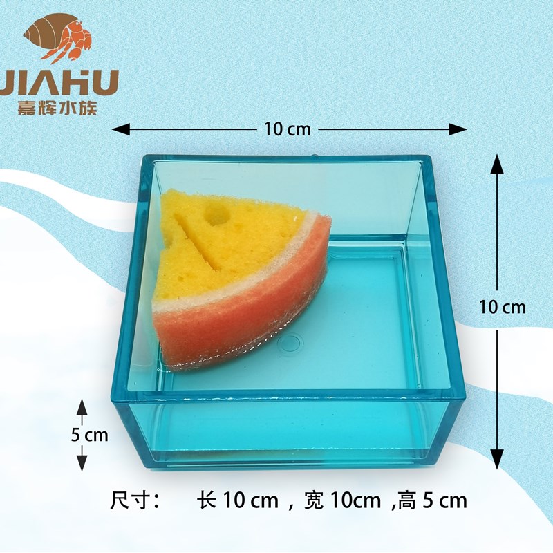 寄居蟹食盆水盆小食盆爬宠澡盆陆A生淡水蟹造景用品容器小动物专