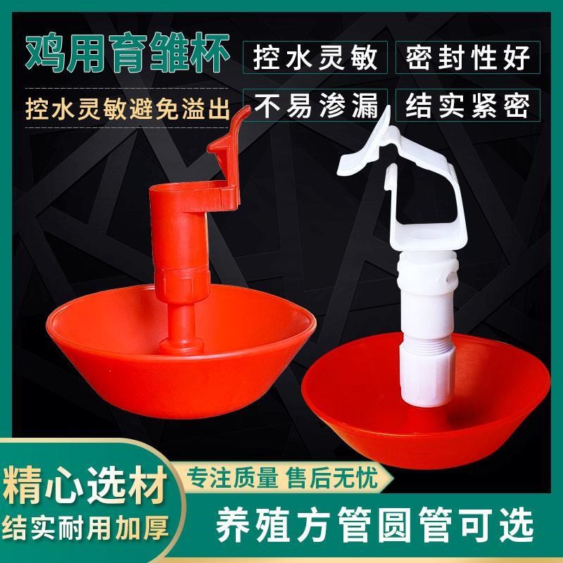 雏鸡水碗鸽子自动饮水器鸡用吊杯饮水器乳头小鸡饮水碗鸡用育雏杯