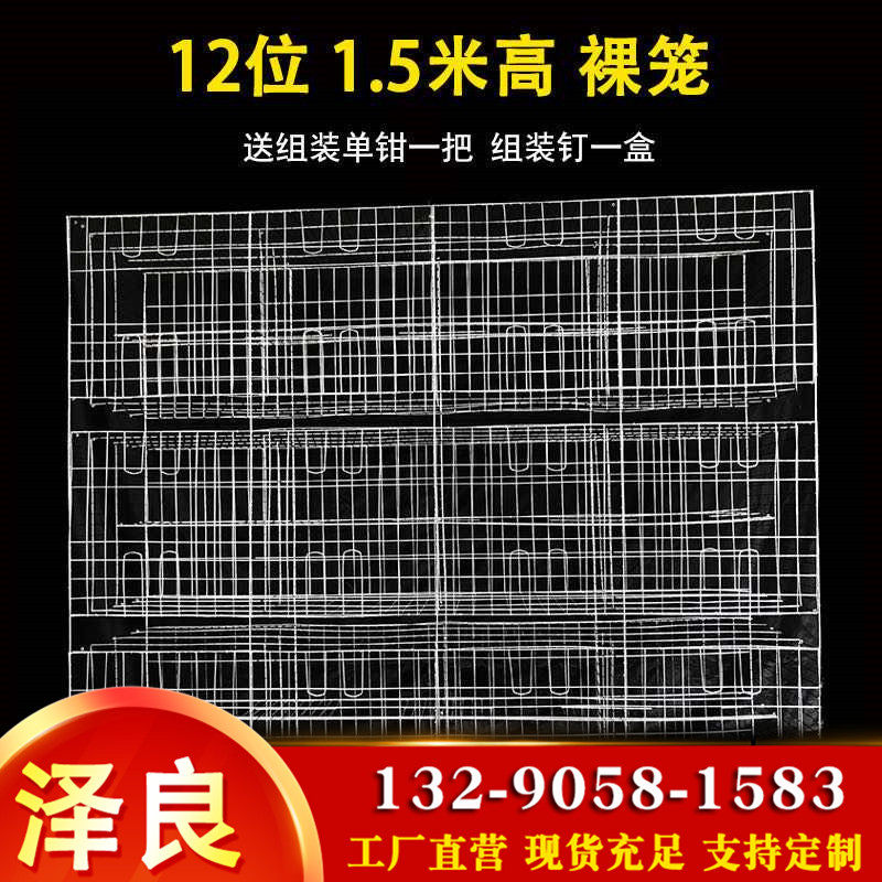 鸽子配对笼养殖繁殖笼12位16位肉鸽家用室外鸽舍组装鸽笼加粗