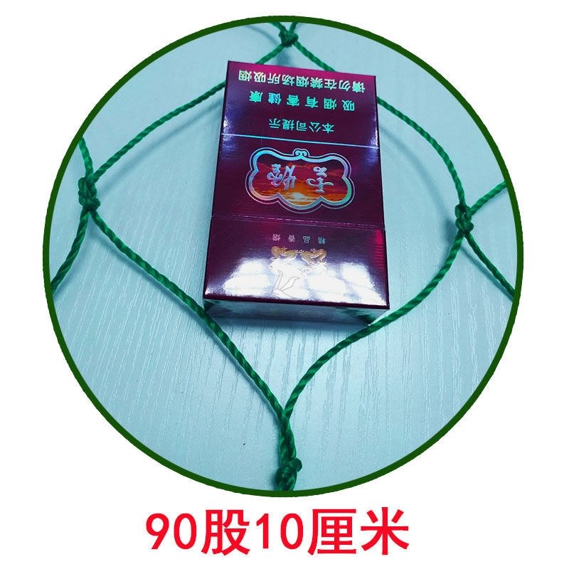 丝瓜爬藤网网用苦瓜腾网吊网网加密夏季攀爬蔬菜黄瓜菜地大棚瓜架