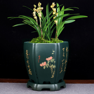 紫砂兰花专用盆手工陶瓷盆景花瓶精品绿J植古典兰花君子兰家用花