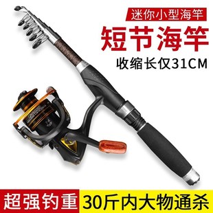 超短节海竿路g亚竿超轻超硬鱼竿带轮套装纺车轮水滴轮抛竿江竿