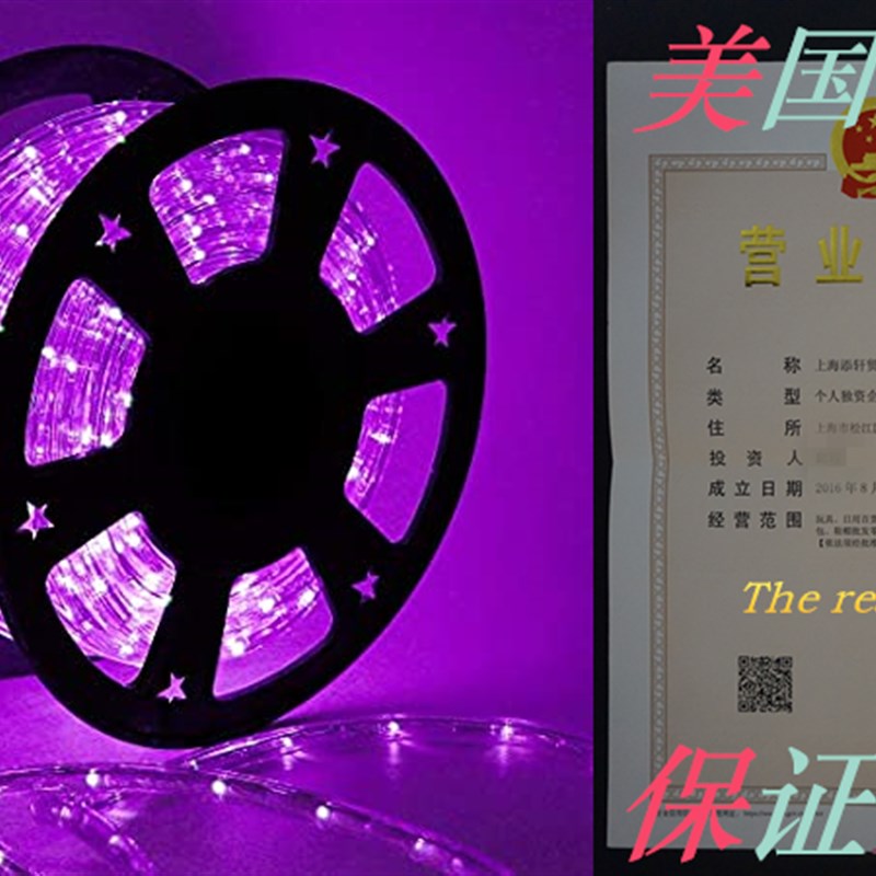 极速Twinkle Star LED Rope Lights Halloween Outdoor, 100 FT