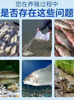 奥立安水产用活力型牛磺酸VC水产养殖对虾蟹鱼塘专用肠道好乳酸菌